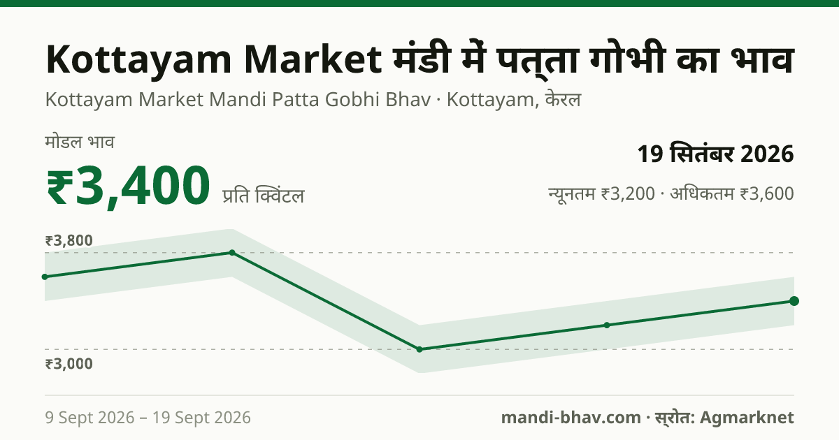 Kottayam Market मंडी में पत्ता गोभी का भाव 19 सितंबर 2026: मोडल ₹3,400 प्रति क्विंटल, भाव के रुझान का चार्ट