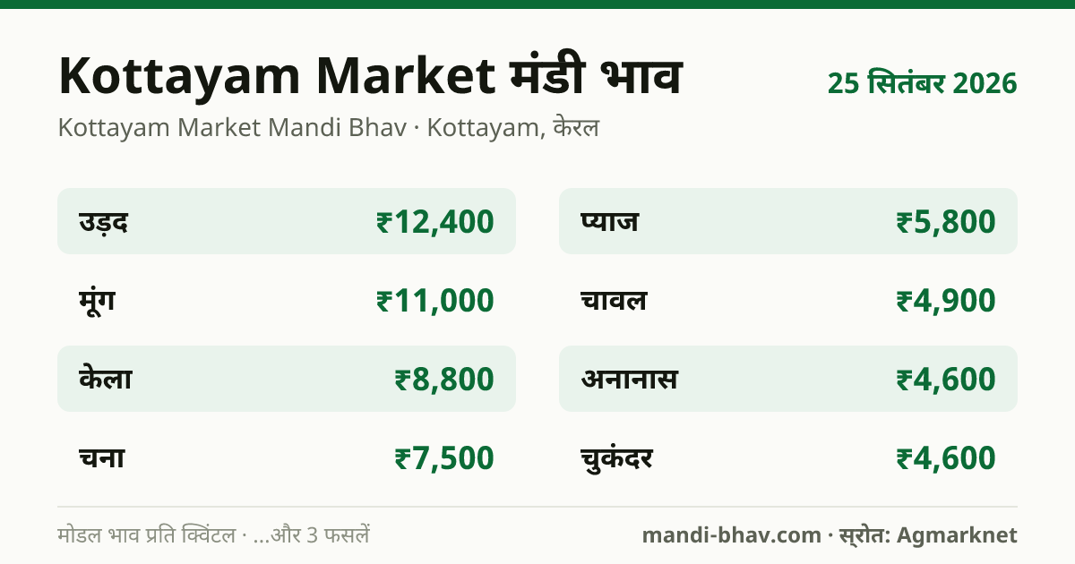 Kottayam Market मंडी भाव 25 सितंबर 2026: फसलवार मोडल रेट प्रति क्विंटल