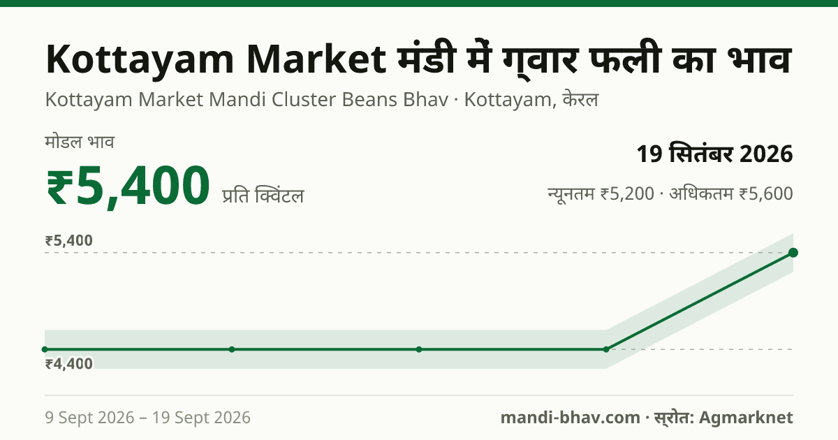 Kottayam Market मंडी में ग्वार फली का भाव 19 सितंबर 2026: मोडल ₹5,400 प्रति क्विंटल, भाव के रुझान का चार्ट