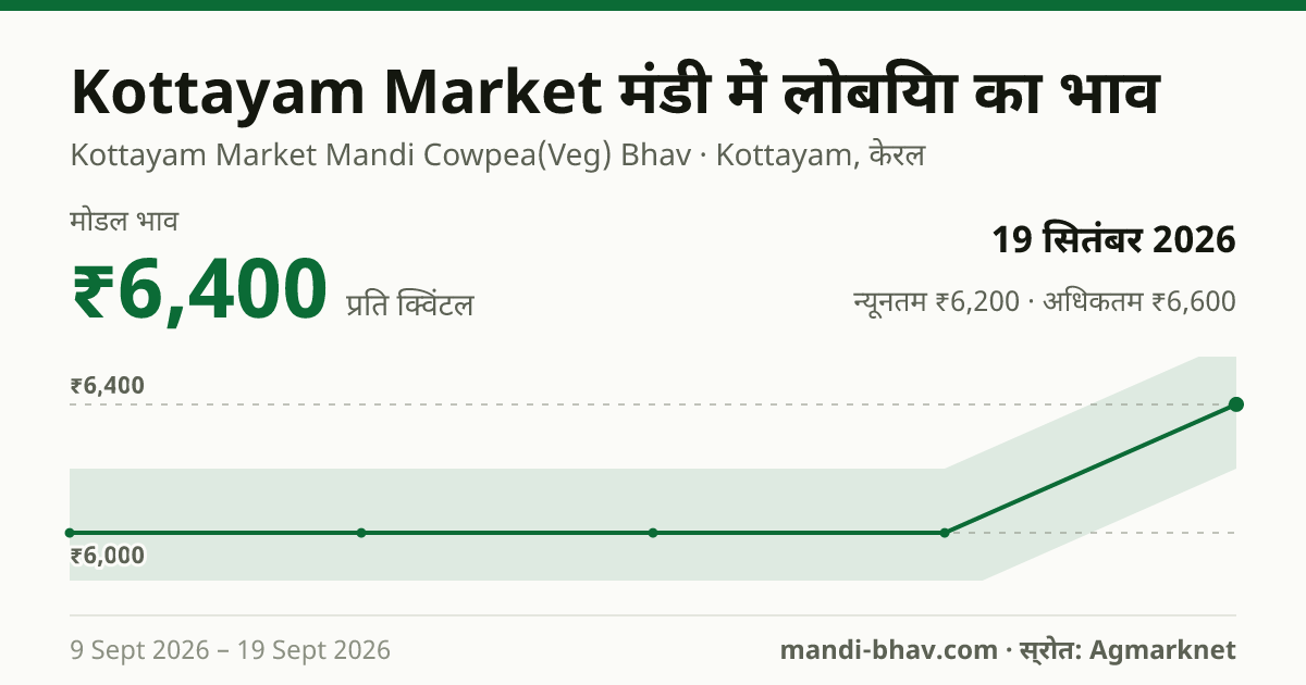 Kottayam Market मंडी में लोबिया का भाव 19 सितंबर 2026: मोडल ₹6,400 प्रति क्विंटल, भाव के रुझान का चार्ट