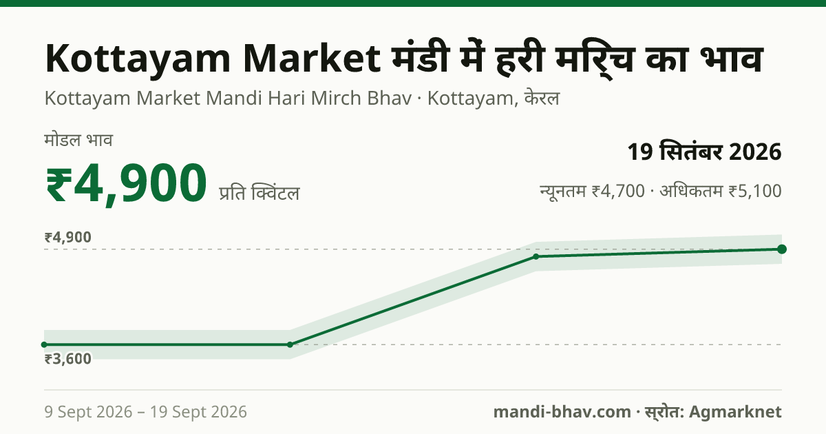 Kottayam Market मंडी में हरी मिर्च का भाव 19 सितंबर 2026: मोडल ₹4,900 प्रति क्विंटल, भाव के रुझान का चार्ट
