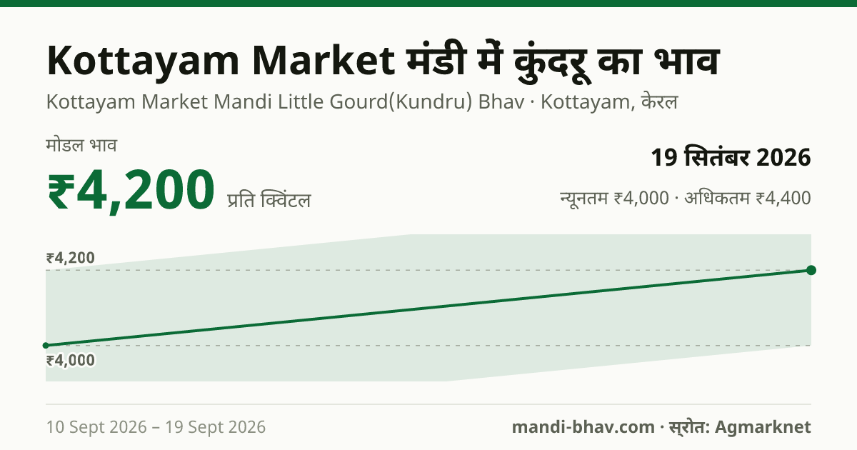 Kottayam Market मंडी में कुंदरू का भाव 19 सितंबर 2026: मोडल ₹4,200 प्रति क्विंटल, भाव के रुझान का चार्ट