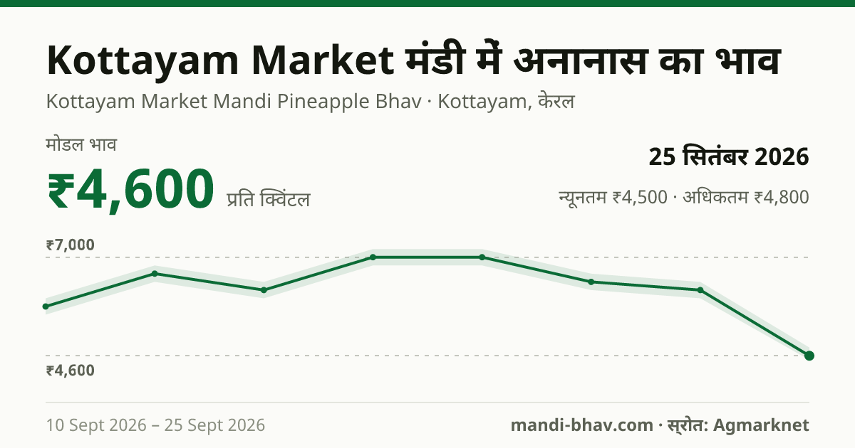 Kottayam Market मंडी में अनानास का भाव 25 सितंबर 2026: मोडल ₹4,600 प्रति क्विंटल, भाव के रुझान का चार्ट