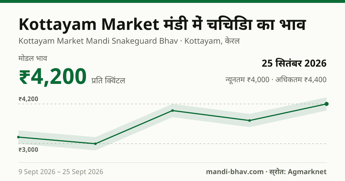 Kottayam Market मंडी में चिचिंडा का भाव 25 सितंबर 2026: मोडल ₹4,200 प्रति क्विंटल, भाव के रुझान का चार्ट