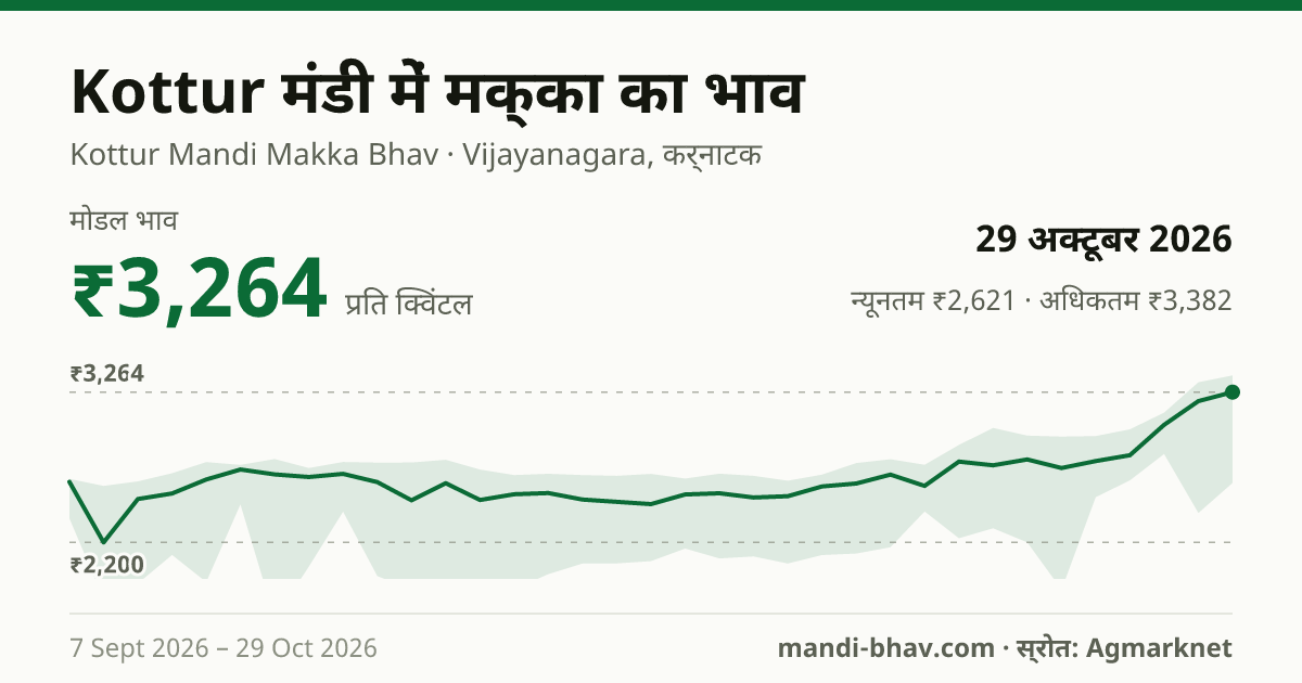 Kottur मंडी में मक्का का भाव 29 अक्टूबर 2026: मोडल ₹3,264 प्रति क्विंटल, भाव के रुझान का चार्ट