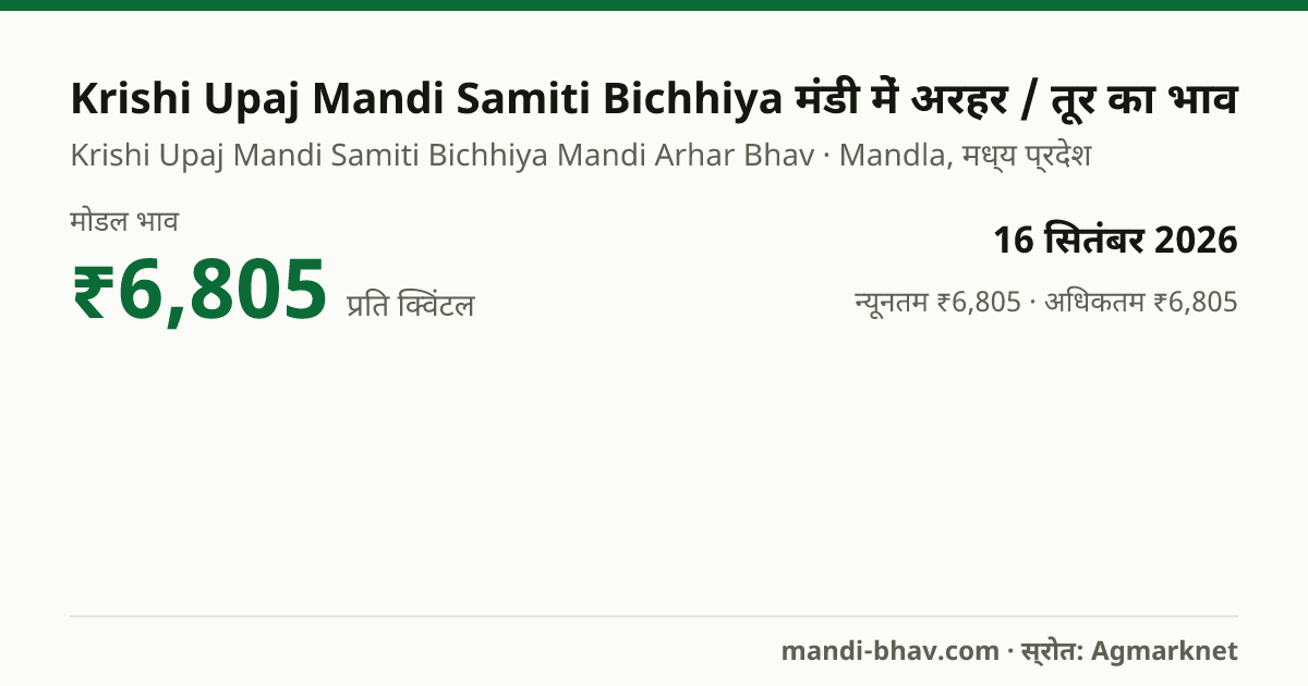 Krishi Upaj Mandi Samiti Bichhiya मंडी में अरहर / तूर का भाव 16 सितंबर 2026: मोडल ₹6,805 प्रति क्विंटल, भाव के रुझान का चार्ट
