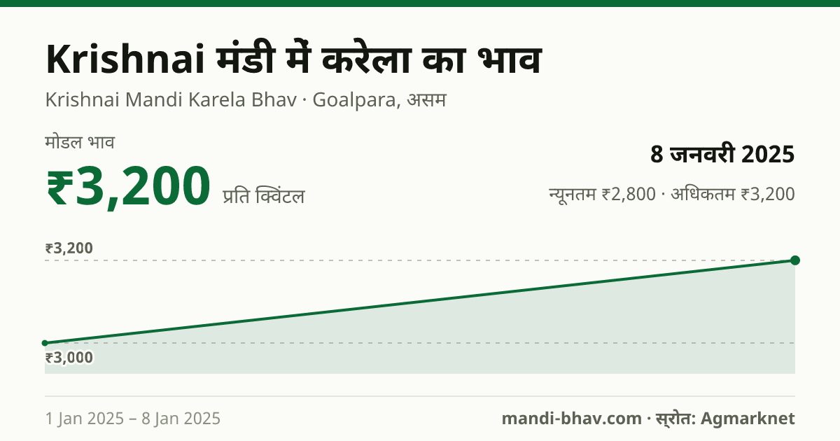 Krishnai मंडी में करेला का भाव 8 जनवरी 2025: मोडल ₹3,200 प्रति क्विंटल, भाव के रुझान का चार्ट