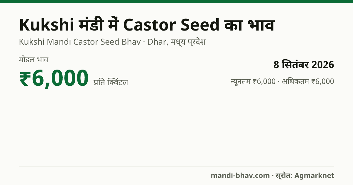 Kukshi मंडी में Castor Seed का भाव 8 सितंबर 2026: मोडल ₹6,000 प्रति क्विंटल, भाव के रुझान का चार्ट