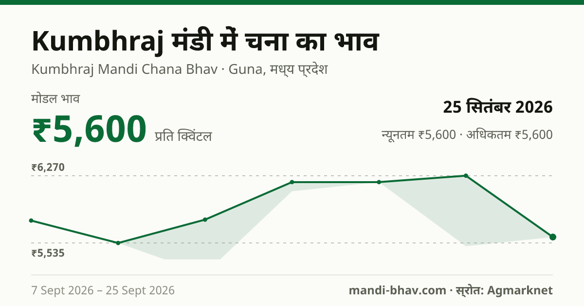 Kumbhraj मंडी में चना का भाव 25 सितंबर 2026: मोडल ₹5,600 प्रति क्विंटल, भाव के रुझान का चार्ट