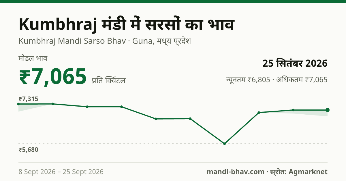 Kumbhraj मंडी में सरसों का भाव 25 सितंबर 2026: मोडल ₹7,065 प्रति क्विंटल, भाव के रुझान का चार्ट