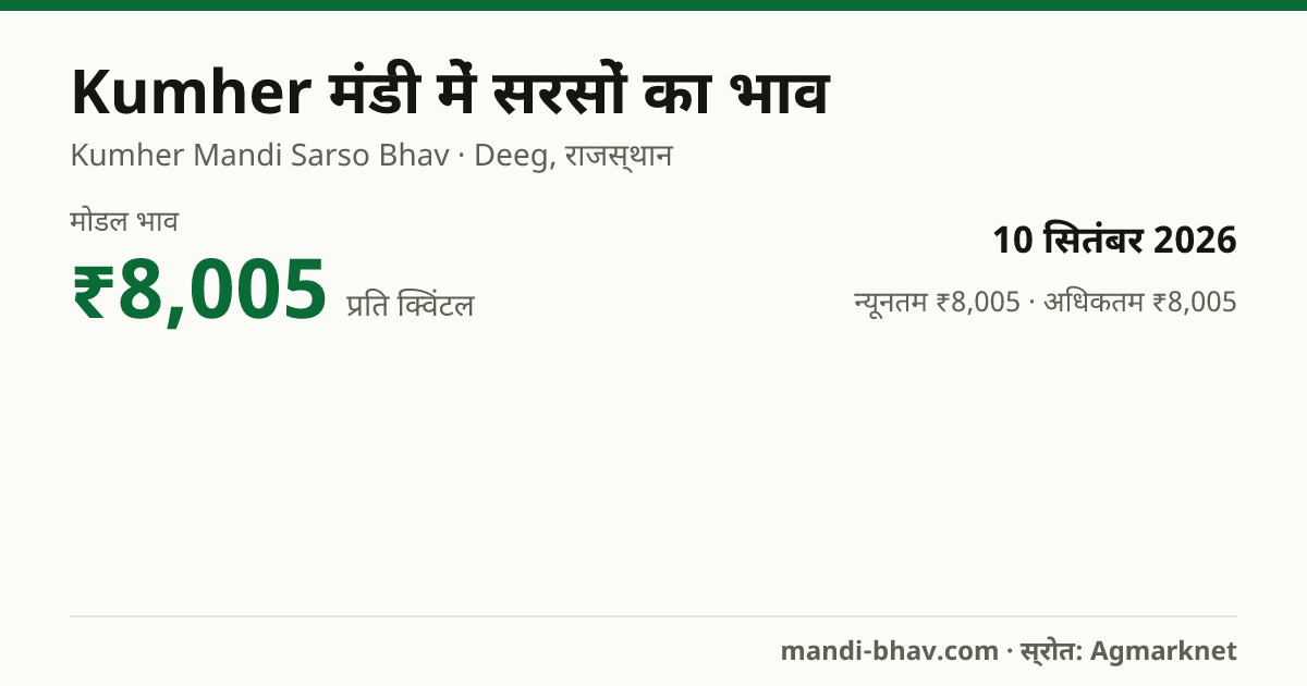 Kumher मंडी में सरसों का भाव 10 सितंबर 2026: मोडल ₹8,005 प्रति क्विंटल, भाव के रुझान का चार्ट