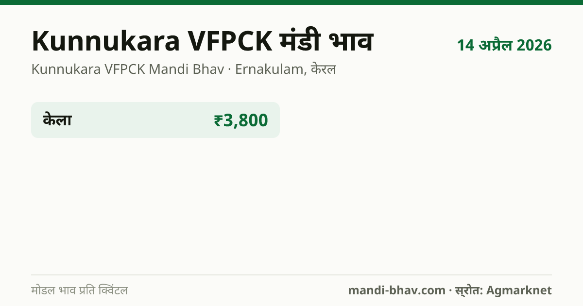 Kunnukara VFPCK मंडी भाव 14 अप्रैल 2026: फसलवार मोडल रेट प्रति क्विंटल