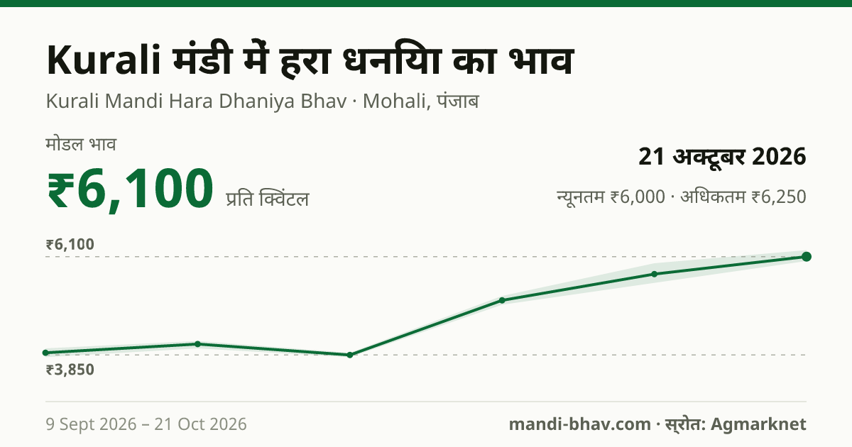 Kurali मंडी में हरा धनिया का भाव 21 अक्टूबर 2026: मोडल ₹6,100 प्रति क्विंटल, भाव के रुझान का चार्ट