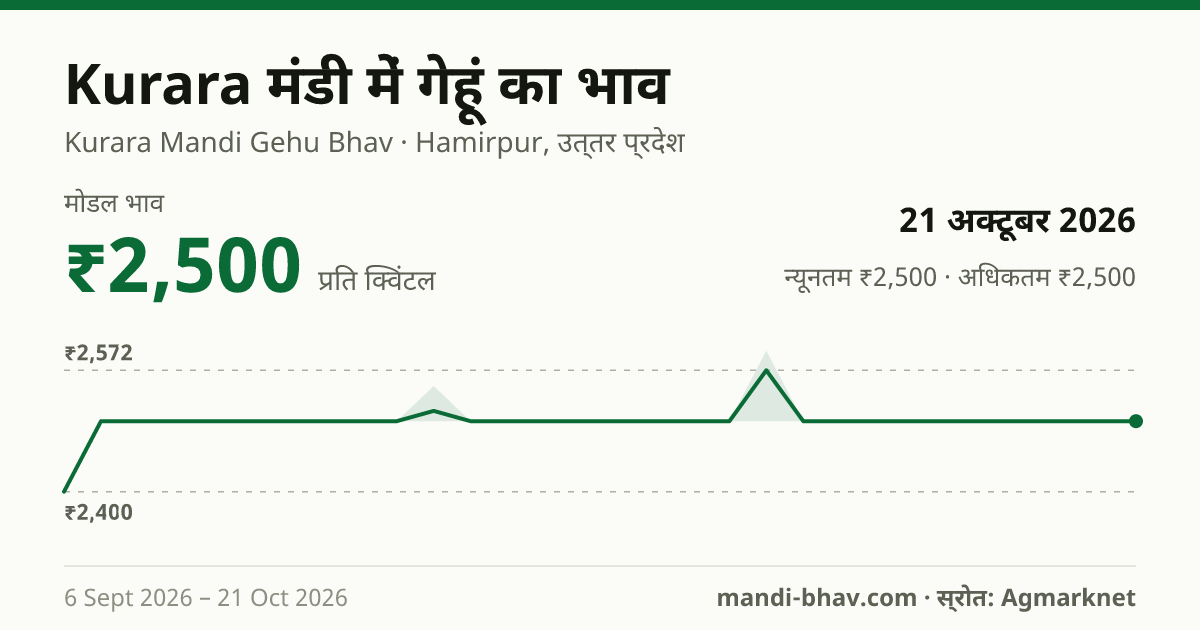 Kurara मंडी में गेहूं का भाव 21 अक्टूबर 2026: मोडल ₹2,500 प्रति क्विंटल, भाव के रुझान का चार्ट