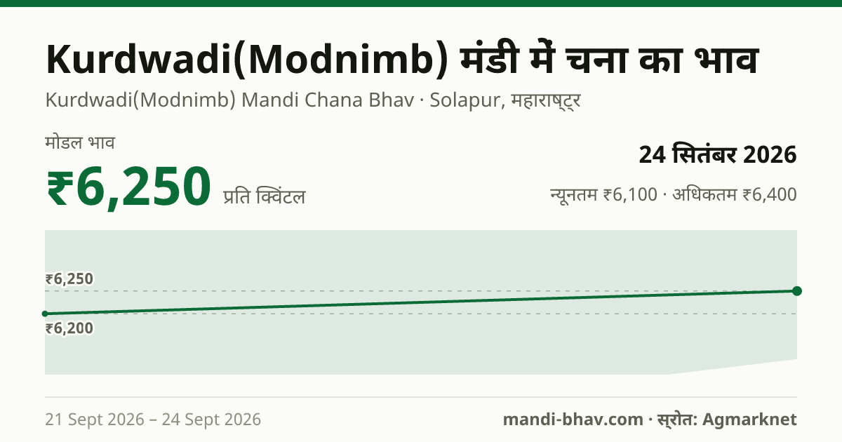 Kurdwadi(Modnimb) मंडी में चना का भाव 24 सितंबर 2026: मोडल ₹6,250 प्रति क्विंटल, भाव के रुझान का चार्ट