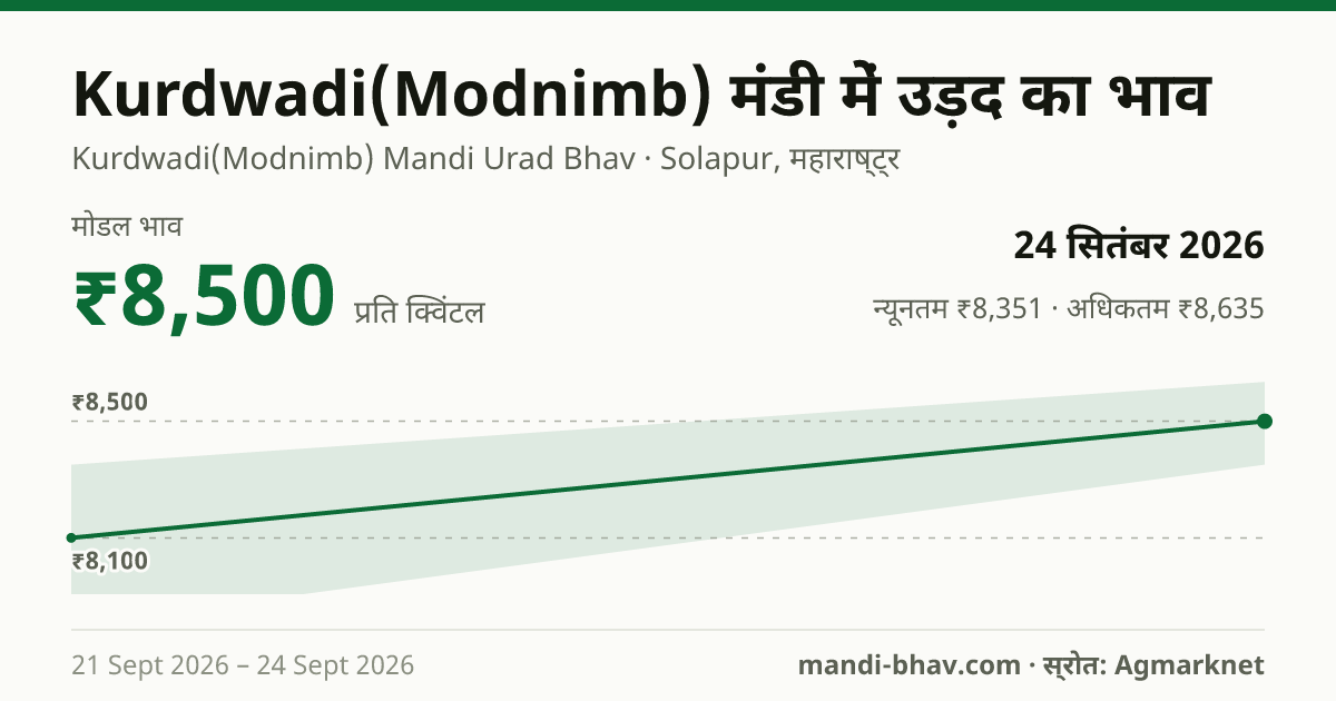 Kurdwadi(Modnimb) मंडी में उड़द का भाव 24 सितंबर 2026: मोडल ₹8,500 प्रति क्विंटल, भाव के रुझान का चार्ट