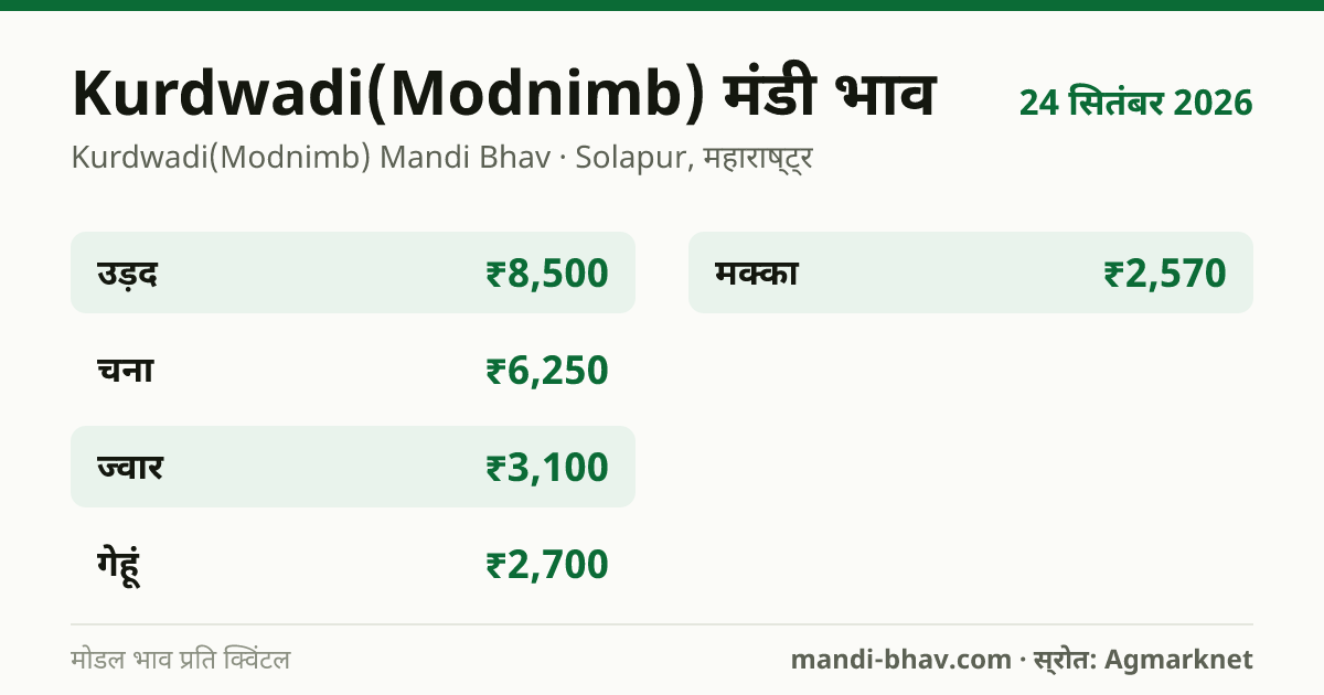 Kurdwadi(Modnimb) मंडी भाव 24 सितंबर 2026: फसलवार मोडल रेट प्रति क्विंटल