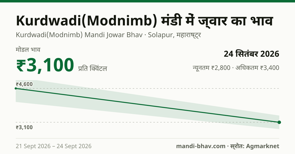 Kurdwadi(Modnimb) मंडी में ज्वार का भाव 24 सितंबर 2026: मोडल ₹3,100 प्रति क्विंटल, भाव के रुझान का चार्ट