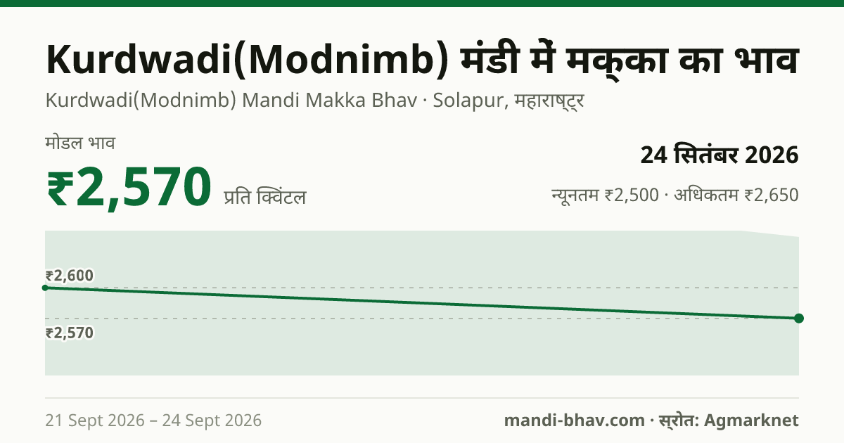 Kurdwadi(Modnimb) मंडी में मक्का का भाव 24 सितंबर 2026: मोडल ₹2,570 प्रति क्विंटल, भाव के रुझान का चार्ट