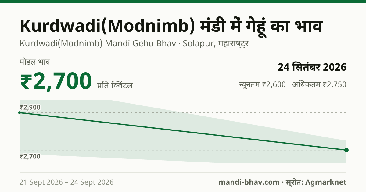 Kurdwadi(Modnimb) मंडी में गेहूं का भाव 24 सितंबर 2026: मोडल ₹2,700 प्रति क्विंटल, भाव के रुझान का चार्ट