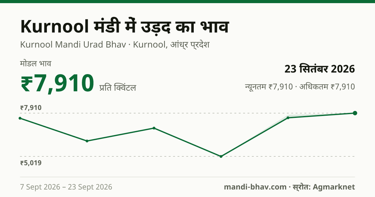 Kurnool मंडी में उड़द का भाव 23 सितंबर 2026: मोडल ₹7,910 प्रति क्विंटल, भाव के रुझान का चार्ट