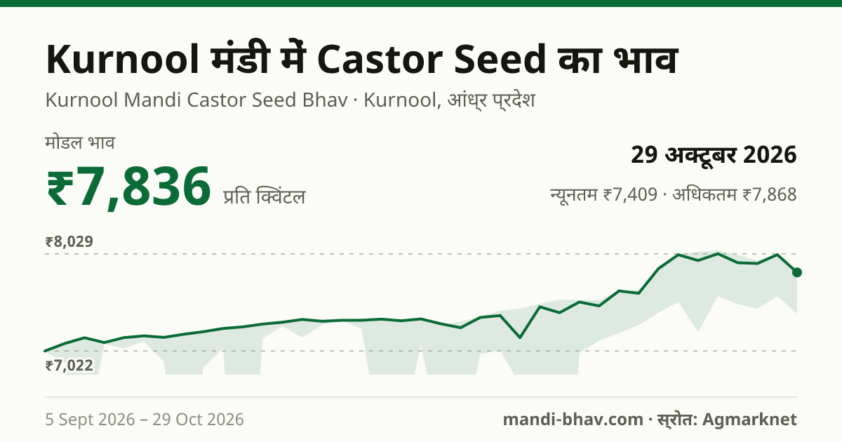 Kurnool मंडी में Castor Seed का भाव 29 अक्टूबर 2026: मोडल ₹7,836 प्रति क्विंटल, भाव के रुझान का चार्ट