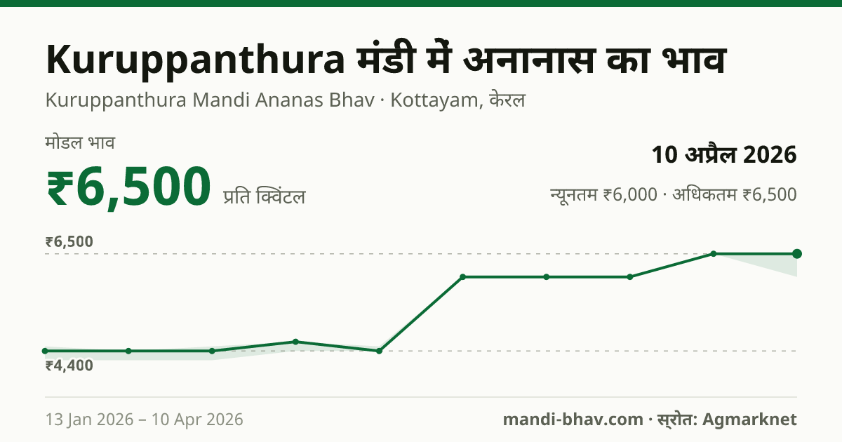 Kuruppanthura मंडी में अनानास का भाव 10 अप्रैल 2026: मोडल ₹6,500 प्रति क्विंटल, भाव के रुझान का चार्ट