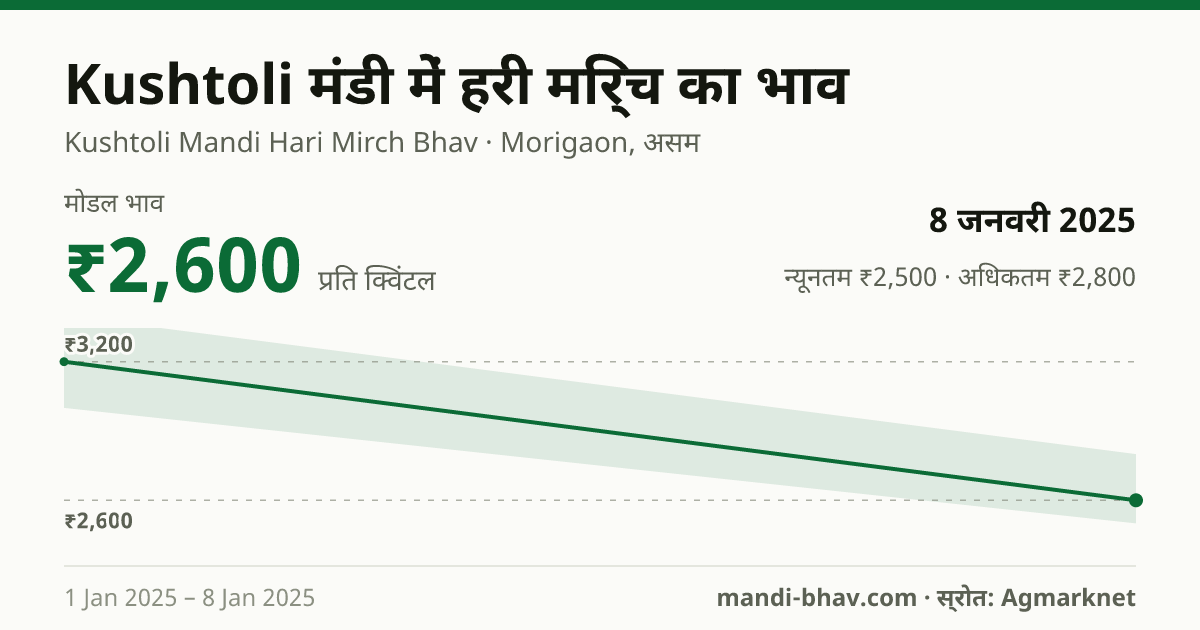 Kushtoli मंडी में हरी मिर्च का भाव 8 जनवरी 2025: मोडल ₹2,600 प्रति क्विंटल, भाव के रुझान का चार्ट