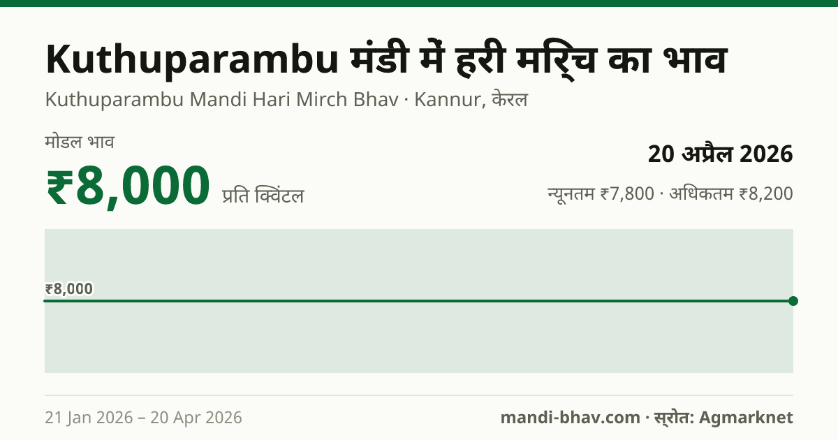 Kuthuparambu मंडी में हरी मिर्च का भाव 20 अप्रैल 2026: मोडल ₹8,000 प्रति क्विंटल, भाव के रुझान का चार्ट