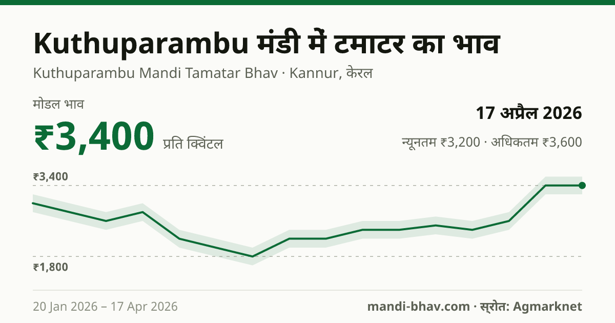 Kuthuparambu मंडी में टमाटर का भाव 17 अप्रैल 2026: मोडल ₹3,400 प्रति क्विंटल, भाव के रुझान का चार्ट