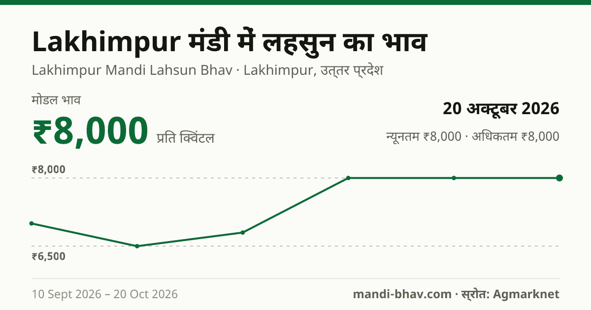 Lakhimpur मंडी में लहसुन का भाव 20 अक्टूबर 2026: मोडल ₹8,000 प्रति क्विंटल, भाव के रुझान का चार्ट