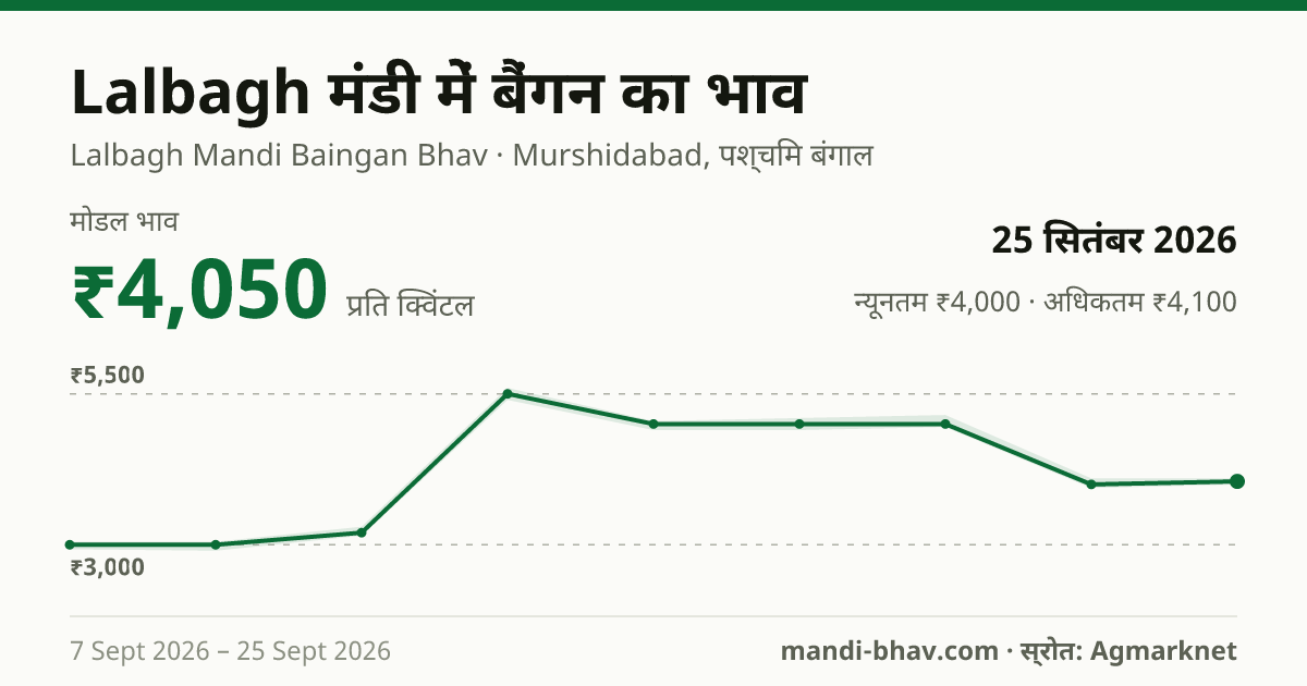 Lalbagh मंडी में बैंगन का भाव 25 सितंबर 2026: मोडल ₹4,050 प्रति क्विंटल, भाव के रुझान का चार्ट