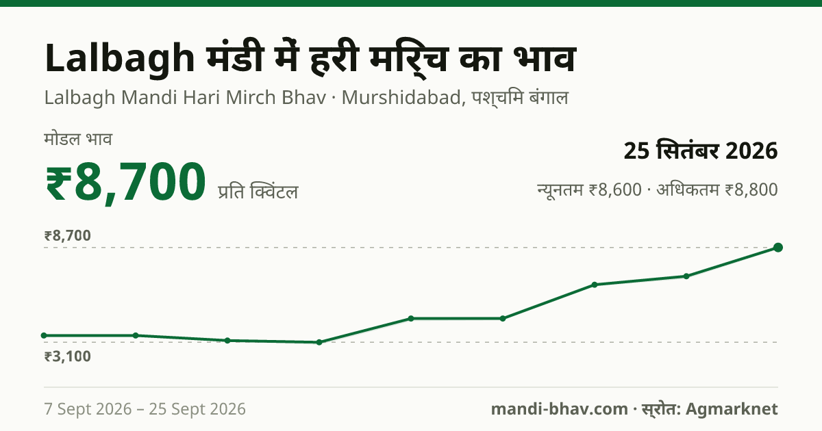 Lalbagh मंडी में हरी मिर्च का भाव 25 सितंबर 2026: मोडल ₹8,700 प्रति क्विंटल, भाव के रुझान का चार्ट