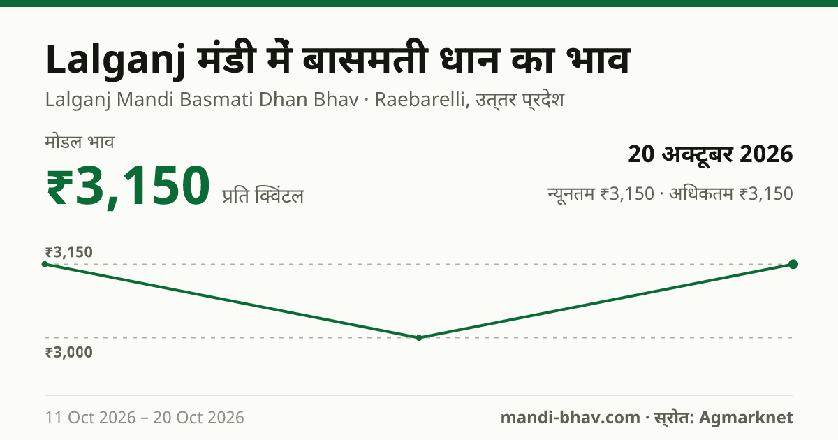 Lalganj मंडी में Paddy(Basmati) का भाव 20 अक्टूबर 2026: मोडल ₹3,150 प्रति क्विंटल, भाव के रुझान का चार्ट