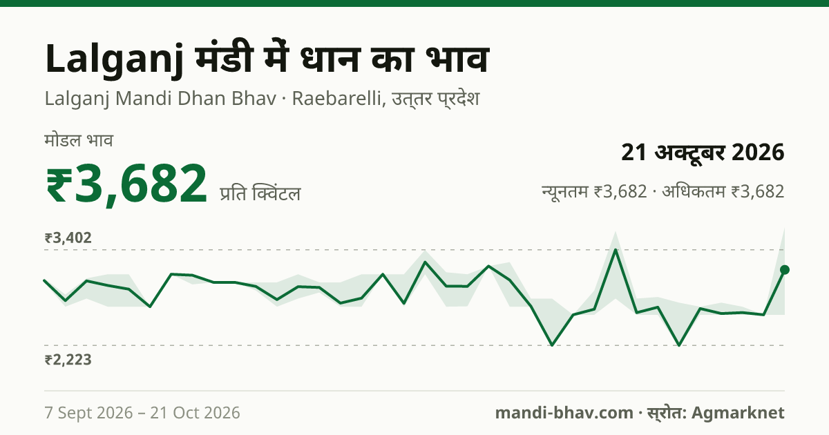 Lalganj मंडी में धान का भाव 21 अक्टूबर 2026: मोडल ₹3,682 प्रति क्विंटल, भाव के रुझान का चार्ट
