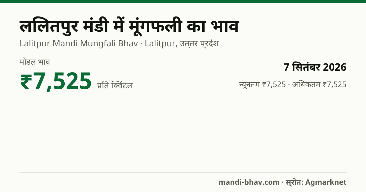 ललितपुर मंडी में मूंगफली का भाव 7 सितंबर 2026: मोडल ₹7,525 प्रति क्विंटल, भाव के रुझान का चार्ट