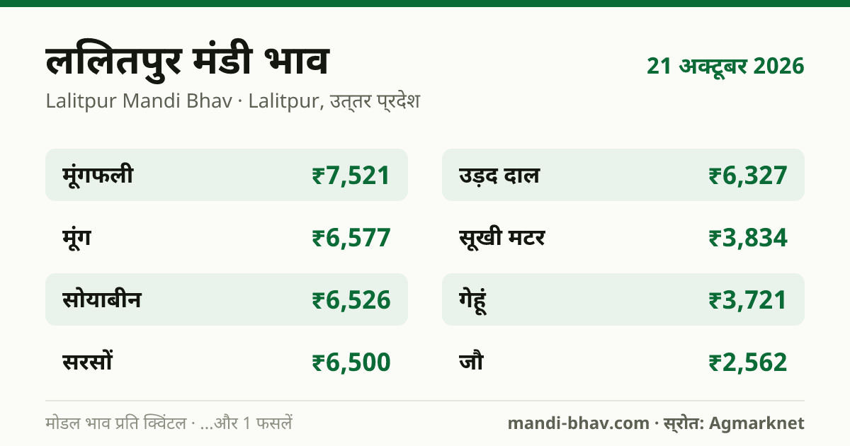 ललितपुर मंडी भाव 21 अक्टूबर 2026: फसलवार मोडल रेट प्रति क्विंटल