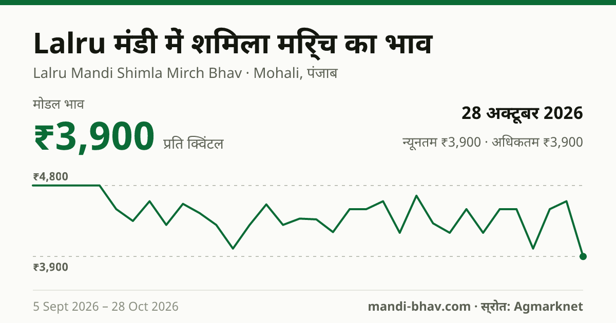 Lalru मंडी में शिमला मिर्च का भाव 28 अक्टूबर 2026: मोडल ₹3,900 प्रति क्विंटल, भाव के रुझान का चार्ट