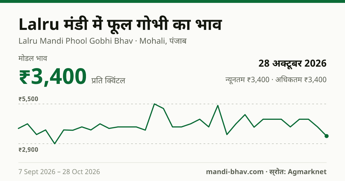 Lalru मंडी में फूल गोभी का भाव 28 अक्टूबर 2026: मोडल ₹3,400 प्रति क्विंटल, भाव के रुझान का चार्ट