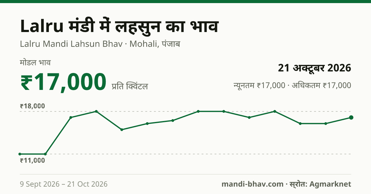 Lalru मंडी में लहसुन का भाव 21 अक्टूबर 2026: मोडल ₹17,000 प्रति क्विंटल, भाव के रुझान का चार्ट