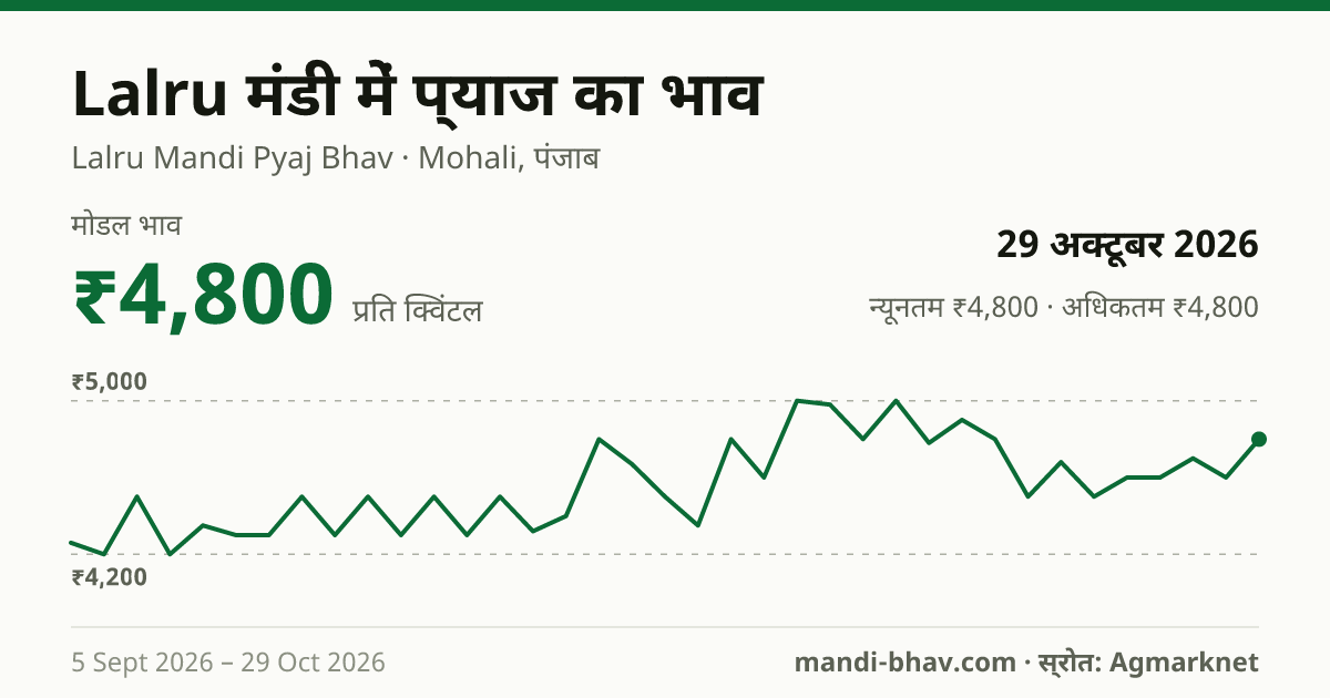 Lalru मंडी में प्याज का भाव 29 अक्टूबर 2026: मोडल ₹4,800 प्रति क्विंटल, भाव के रुझान का चार्ट