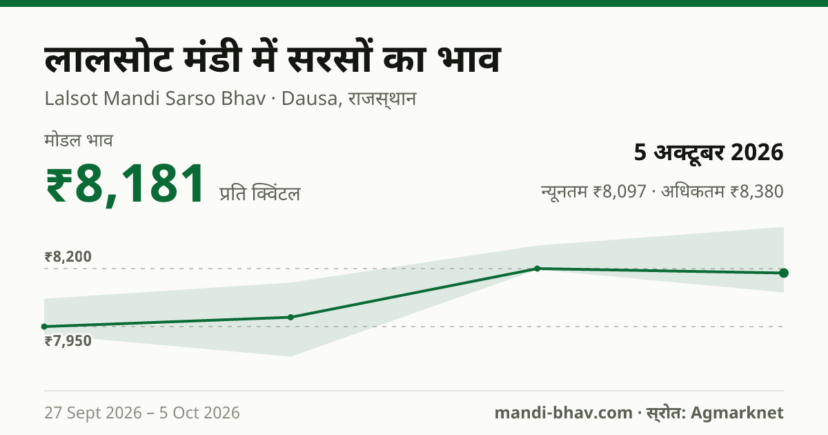 Lalsot मंडी में सरसों का भाव 5 अक्टूबर 2026: मोडल ₹8,181 प्रति क्विंटल, भाव के रुझान का चार्ट