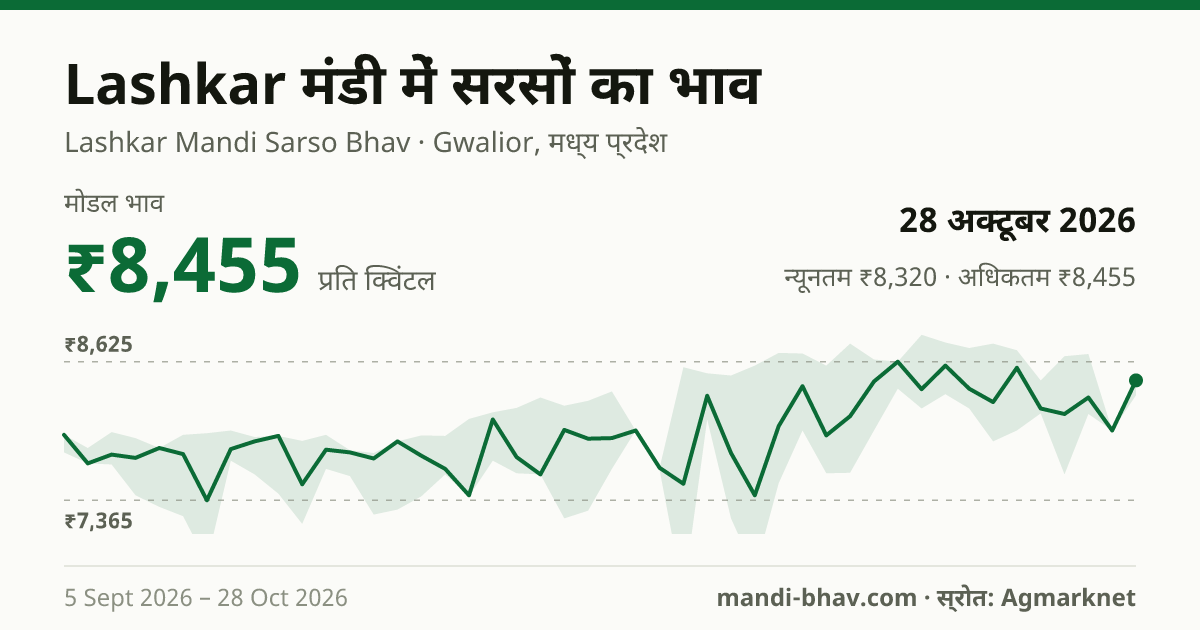 Lashkar मंडी में सरसों का भाव 28 अक्टूबर 2026: मोडल ₹8,455 प्रति क्विंटल, भाव के रुझान का चार्ट