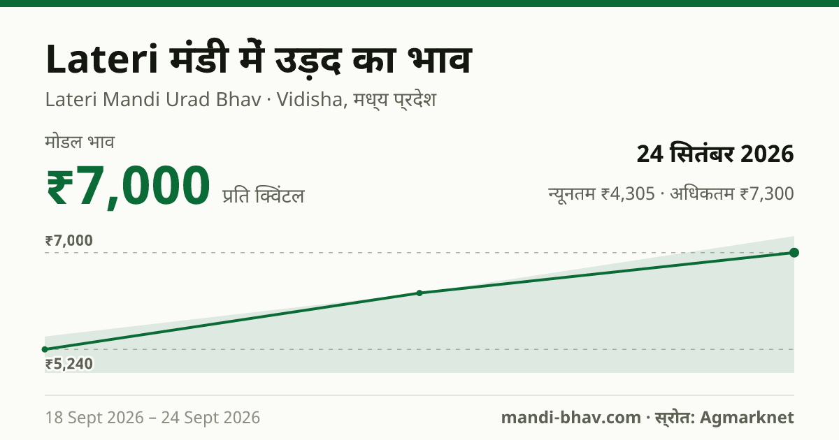 Lateri मंडी में उड़द का भाव 24 सितंबर 2026: मोडल ₹7,000 प्रति क्विंटल, भाव के रुझान का चार्ट