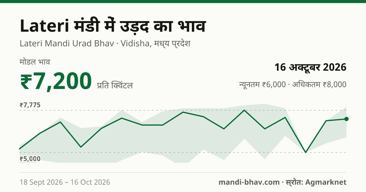 Lateri मंडी में उड़द का भाव 16 अक्टूबर 2026: मोडल ₹7,200 प्रति क्विंटल, भाव के रुझान का चार्ट