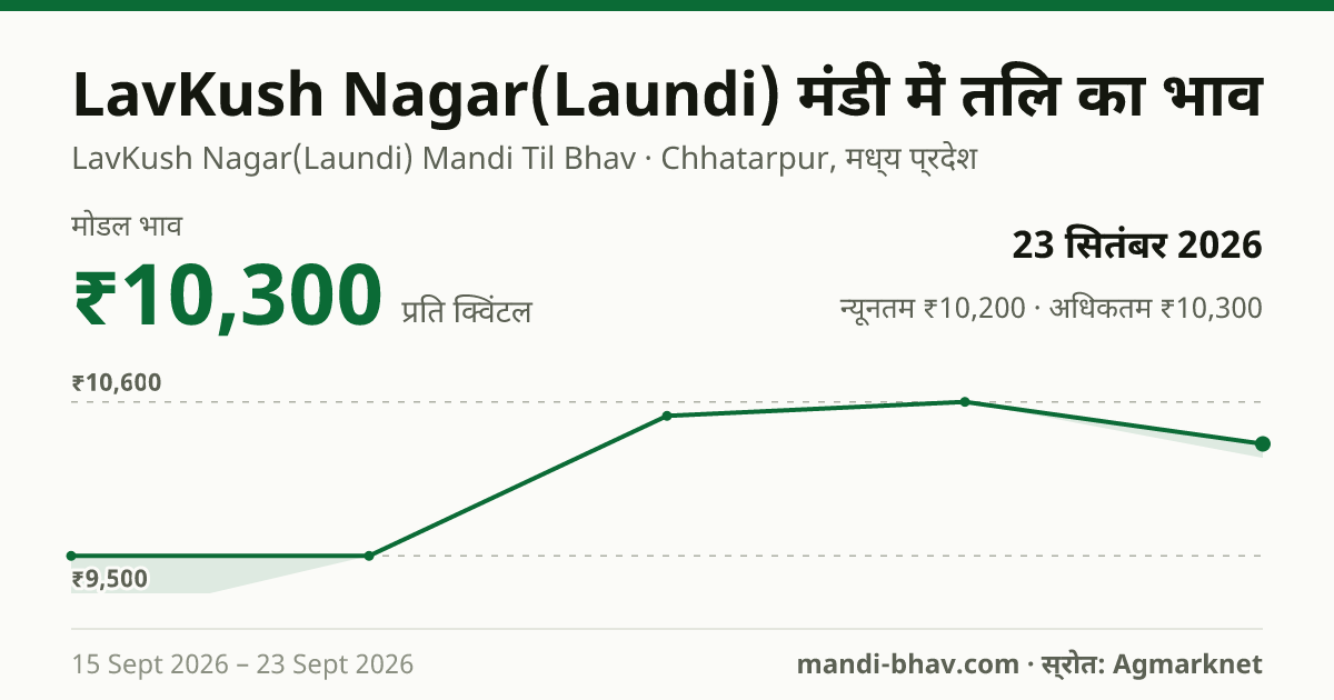 LavKush Nagar(Laundi) मंडी में तिल का भाव 23 सितंबर 2026: मोडल ₹10,300 प्रति क्विंटल, भाव के रुझान का चार्ट