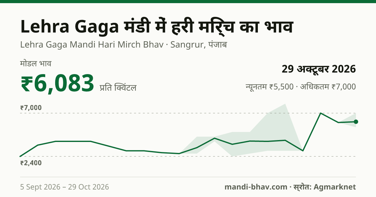 Lehra Gaga मंडी में हरी मिर्च का भाव 29 अक्टूबर 2026: मोडल ₹6,083 प्रति क्विंटल, भाव के रुझान का चार्ट