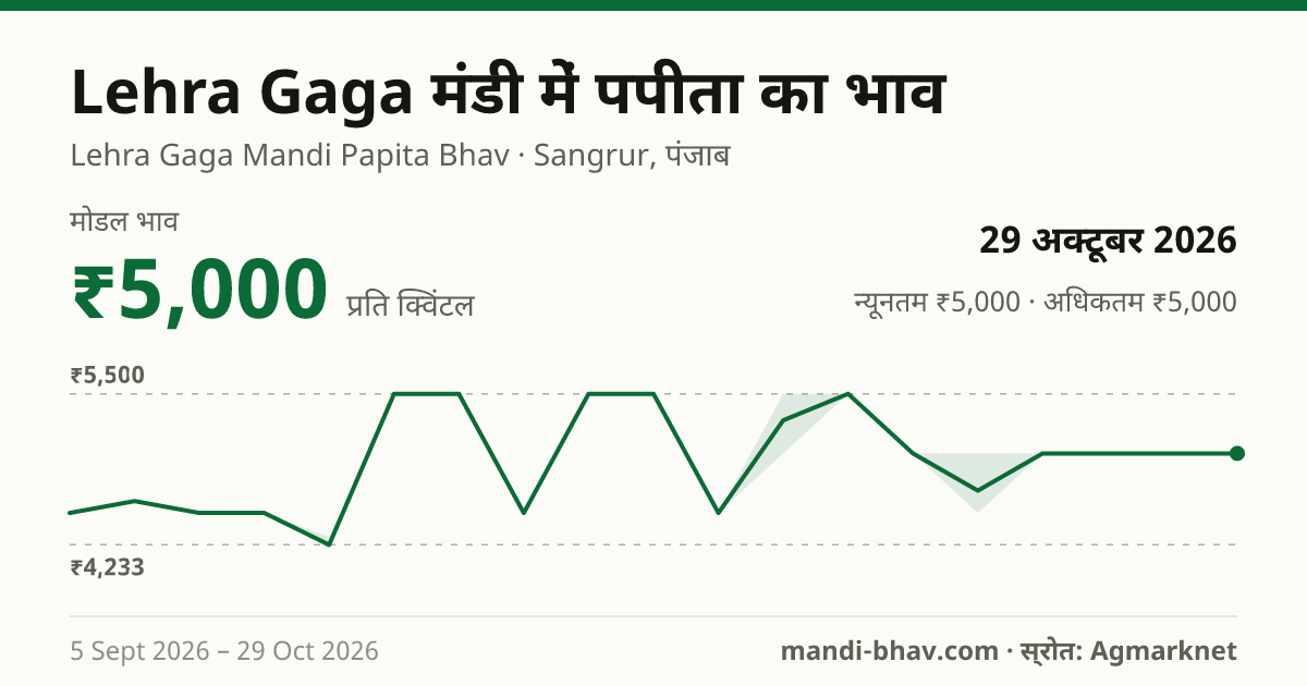 Lehra Gaga मंडी में पपीता का भाव 29 अक्टूबर 2026: मोडल ₹5,000 प्रति क्विंटल, भाव के रुझान का चार्ट