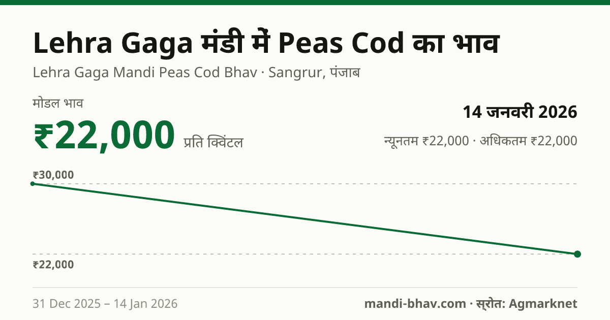 Lehra Gaga मंडी में Peas Cod का भाव 14 जनवरी 2026: मोडल ₹22,000 प्रति क्विंटल, भाव के रुझान का चार्ट