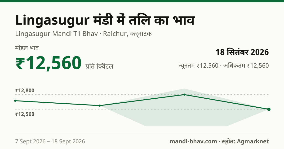 Lingasugur मंडी में तिल का भाव 18 सितंबर 2026: मोडल ₹12,560 प्रति क्विंटल, भाव के रुझान का चार्ट